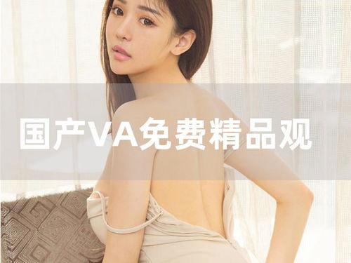 国产va在线视频,探索视觉艺术的新天地